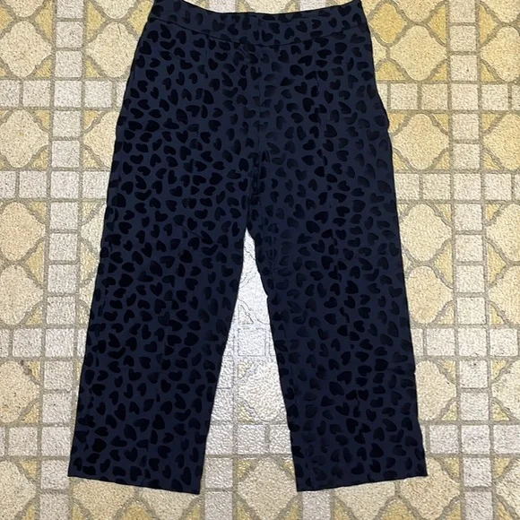 Two EUC velour, capris, one Ann Taylor/ one A.N.A - Picture 2 of 16